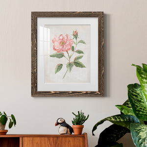 Grandiflora II - Barnwood Framed Art Print