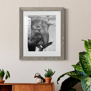 Tender Moment - Barnwood Framed Art Print