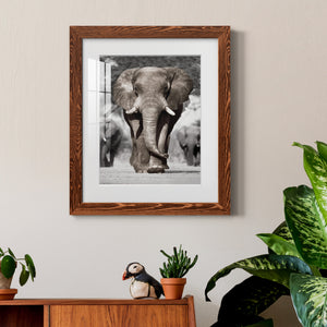 Botswana Patriarch - Barnwood Framed Art Print