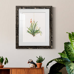 Gardenaire I - Barnwood Framed Art Print