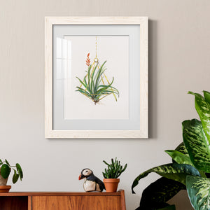 Gardenaire I - Barnwood Framed Art Print