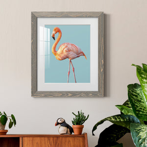 Flamingo - Barnwood