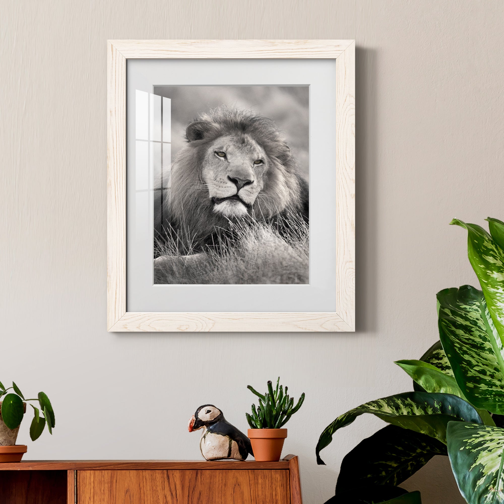 Pride of the Pride - Barnwood Framed Art Print