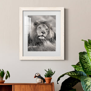 Pride of the Pride - Barnwood Framed Art Print