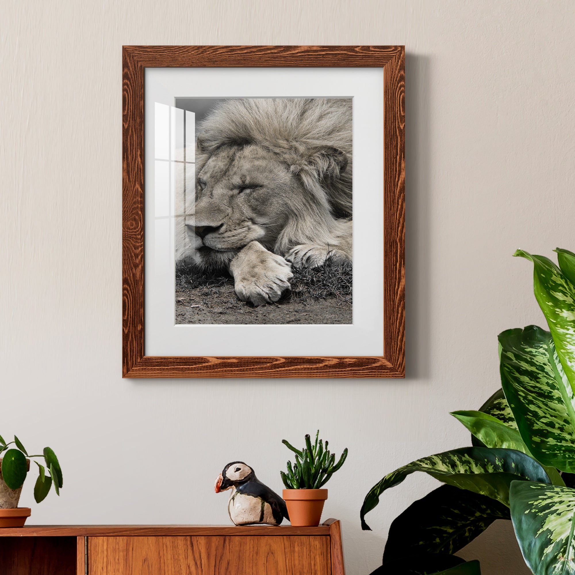 Sleepy Afternoon in Masai Mara - Barnwood Framed Art Print