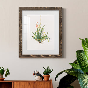Gardenaire I - Barnwood Framed Art Print