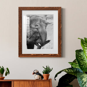 Tender Moment - Barnwood Framed Art Print