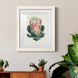 Protea N83 - Barnwood Framed Art Print