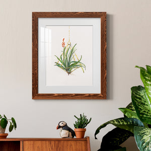 Gardenaire I - Barnwood Framed Art Print