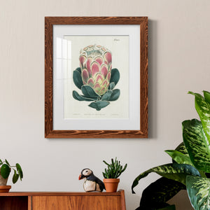 Protea N83 - Barnwood Framed Art Print