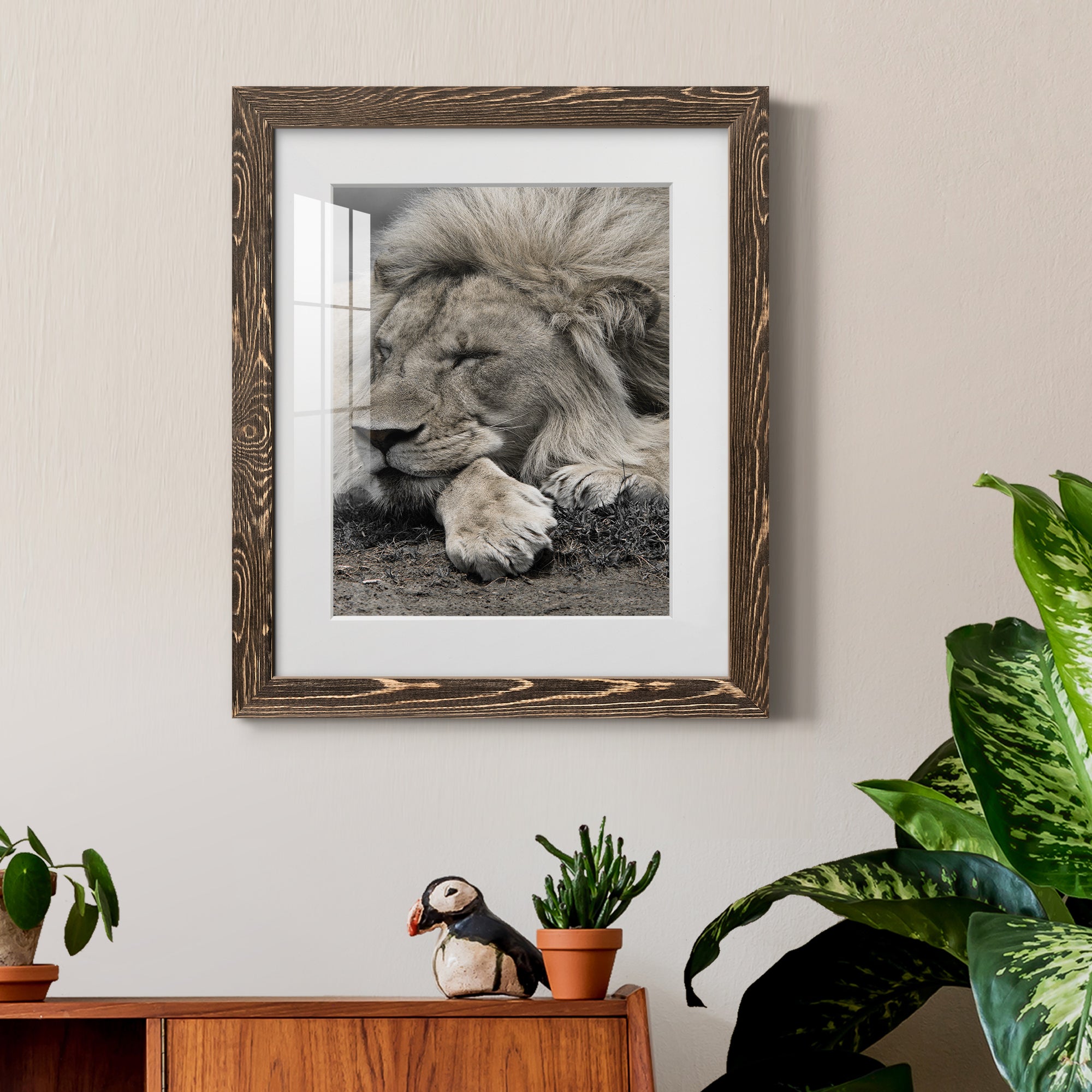 Sleepy Afternoon in Masai Mara - Barnwood Framed Art Print
