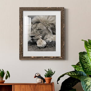 Sleepy Afternoon in Masai Mara - Barnwood Framed Art Print