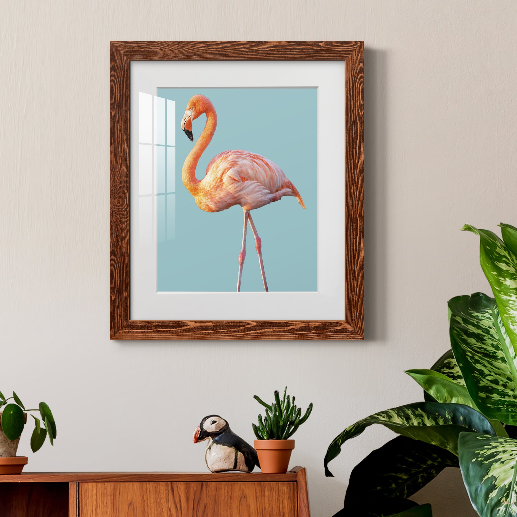 Flamingo - Barnwood
