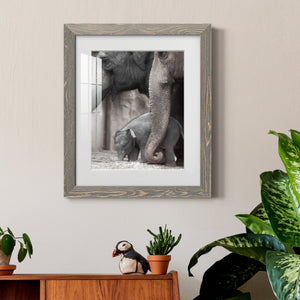 Family Moment - Barnwood Framed Art Print