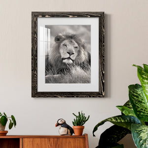 Pride of the Pride - Barnwood Framed Art Print