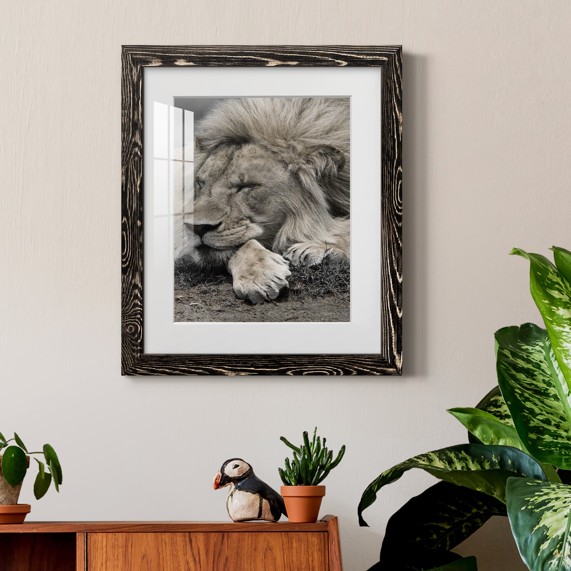 Sleepy Afternoon in Masai Mara - Barnwood Framed Art Print
