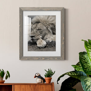 Sleepy Afternoon in Masai Mara - Barnwood Framed Art Print