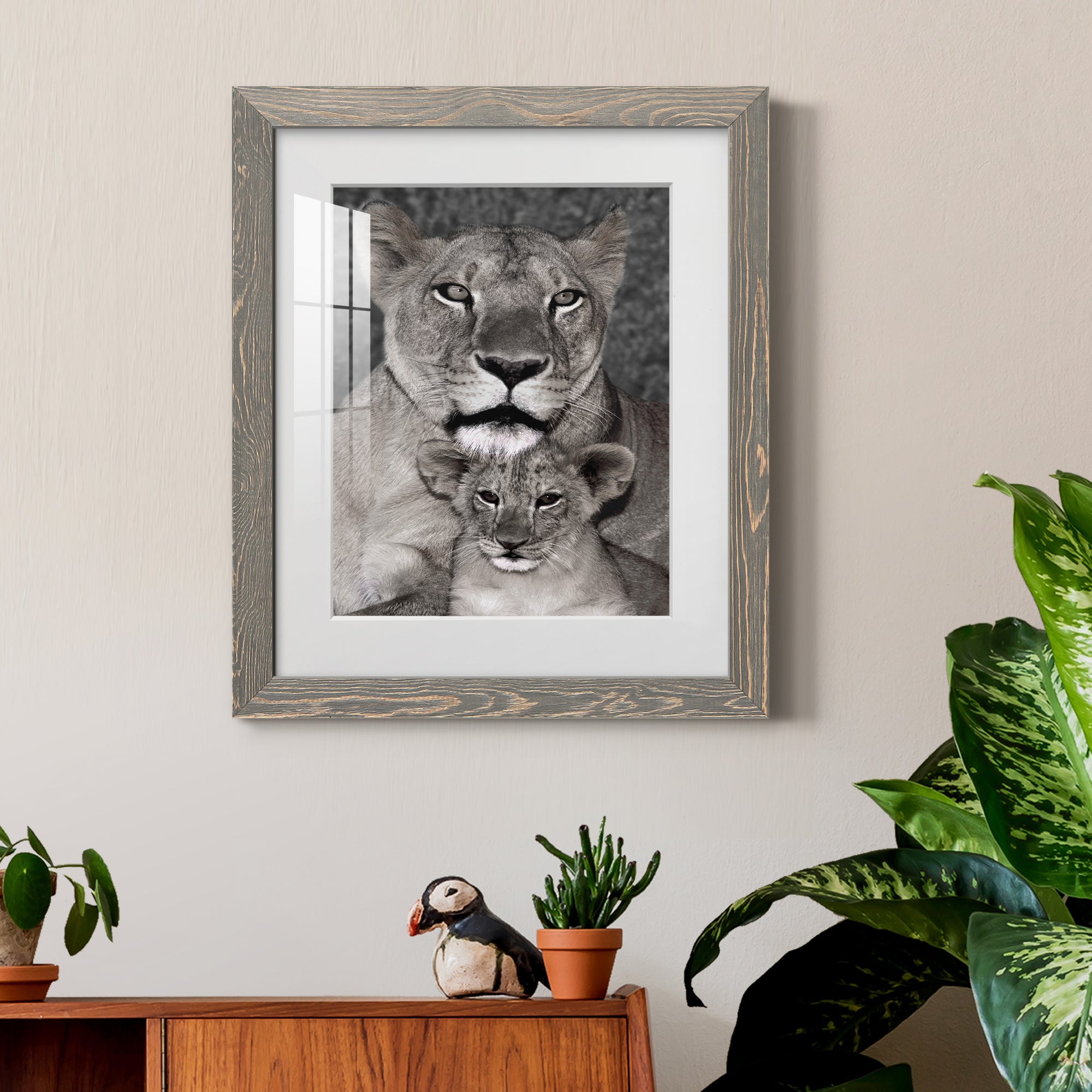 Lioness and Cub - Barnwood Framed Art Print