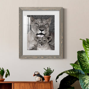 Lioness and Cub - Barnwood Framed Art Print