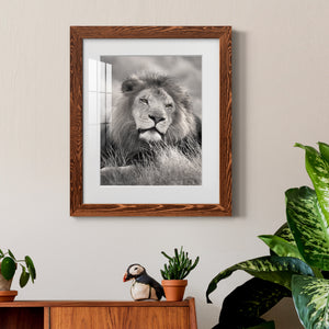 Pride of the Pride - Barnwood Framed Art Print