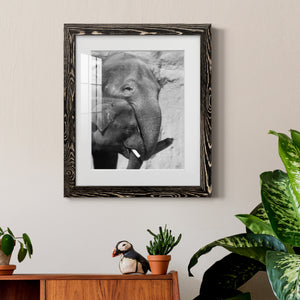 Tender Moment - Barnwood Framed Art Print