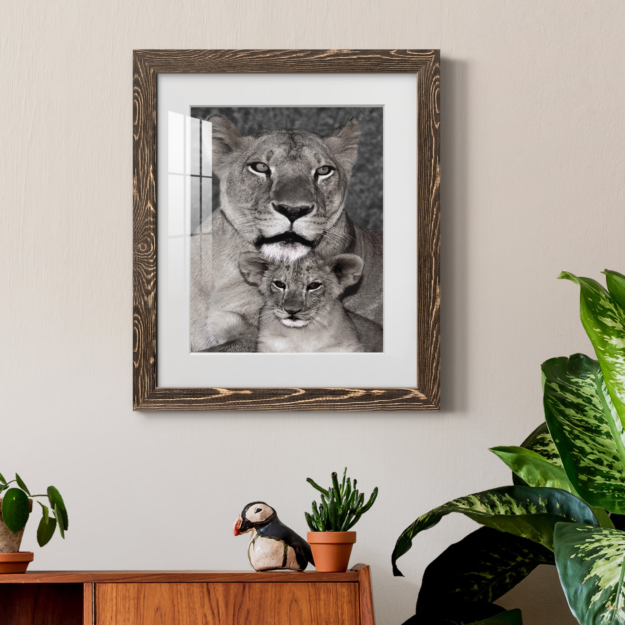 Lioness and Cub - Barnwood Framed Art Print
