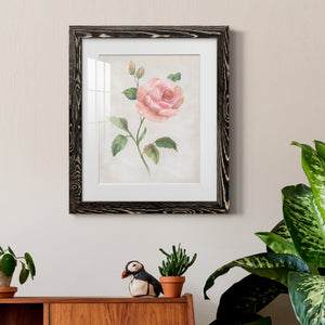 Grandiflora I - Barnwood Framed Art Print