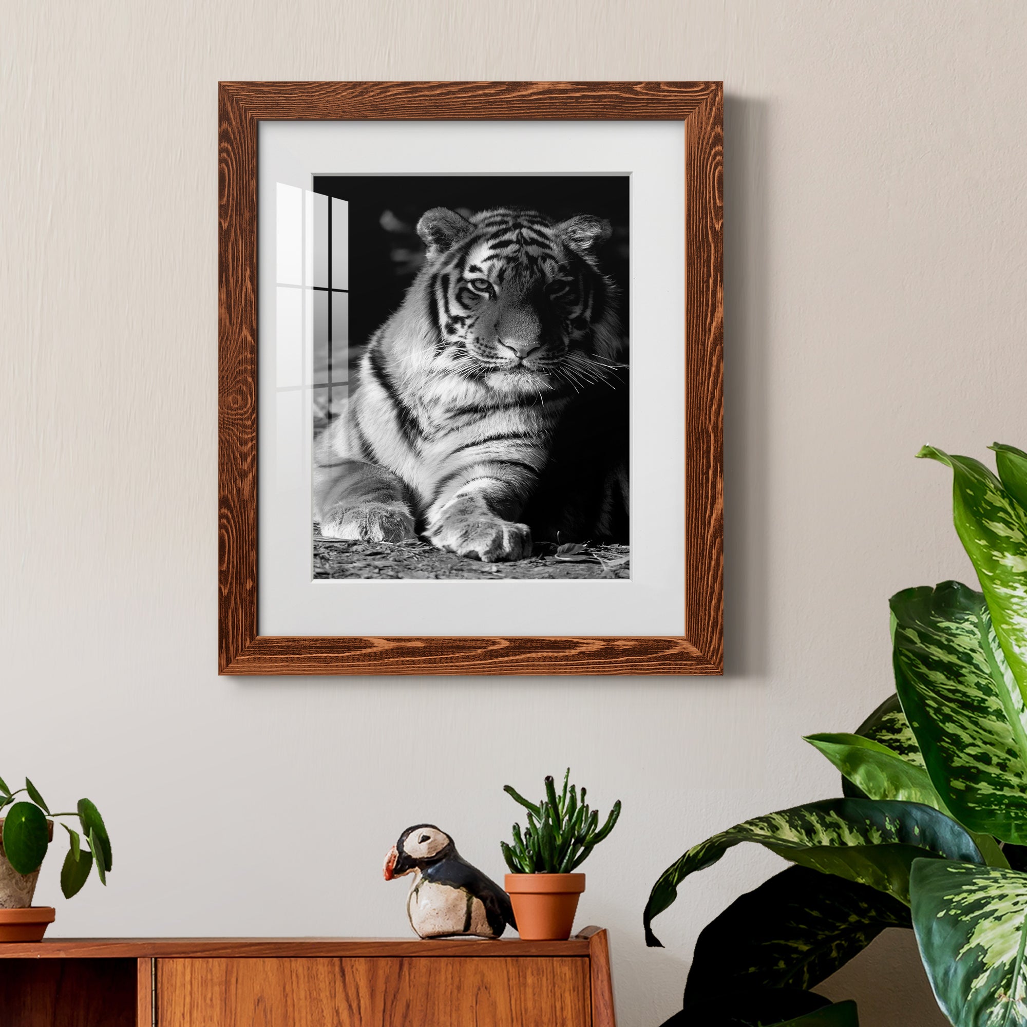 Tiger Repose - Barnwood Framed Art Print