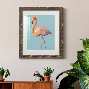 Flamingo - Barnwood
