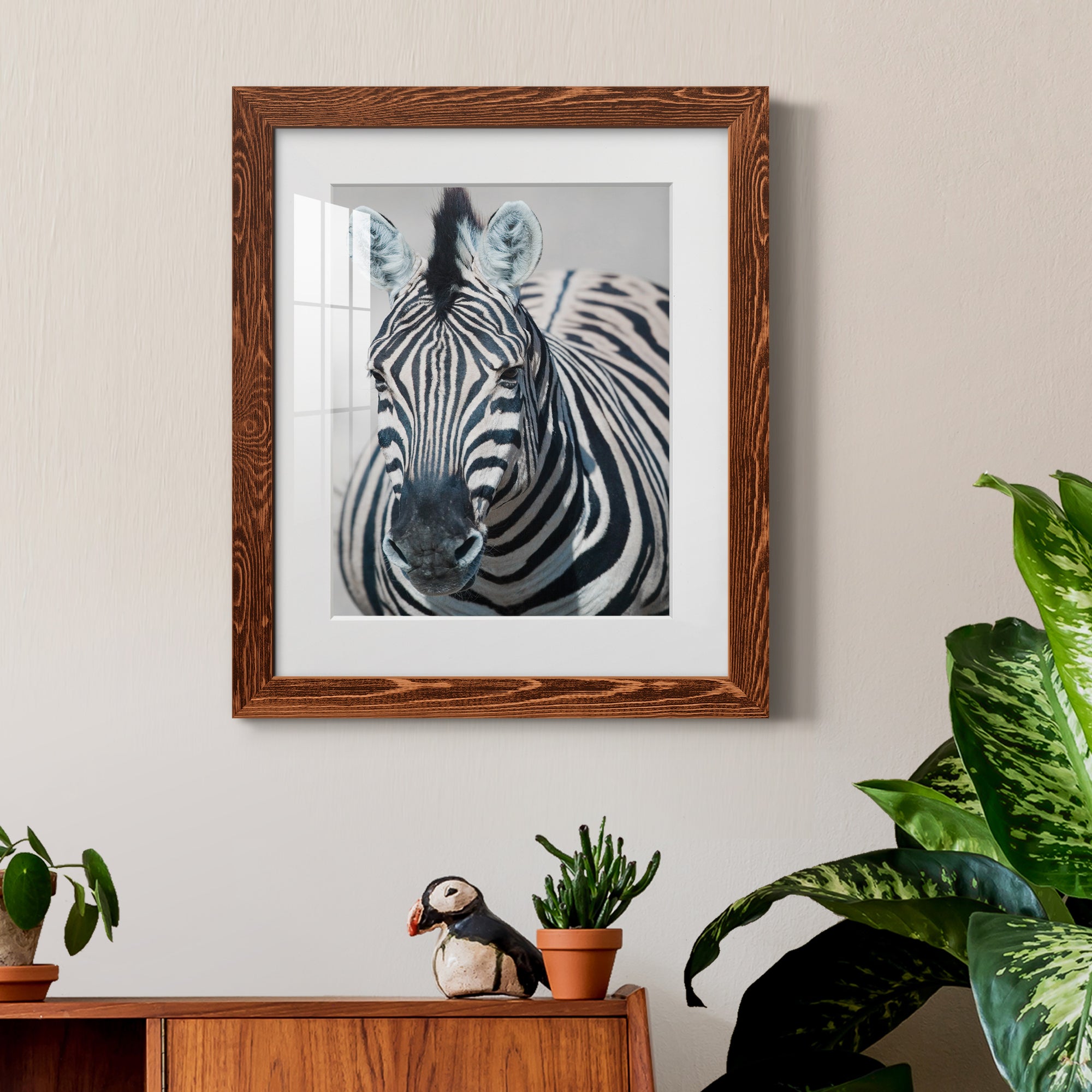 Namibia Zebra - Premium Framed Print - Distressed Barnwood Frame - Ready to Hang