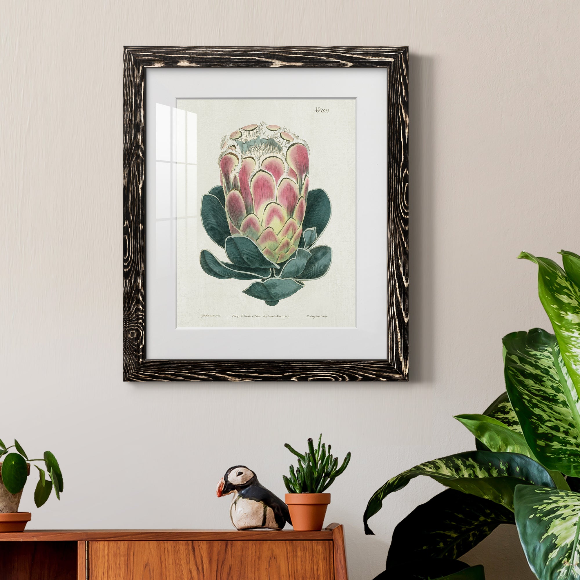Protea N83 - Barnwood Framed Art Print