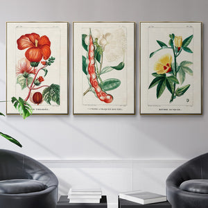 Turpin Tropical Botanicals VI - Framed Premium Gallery Wrapped Canvas L Frame 3 Piece Set - Ready to Hang