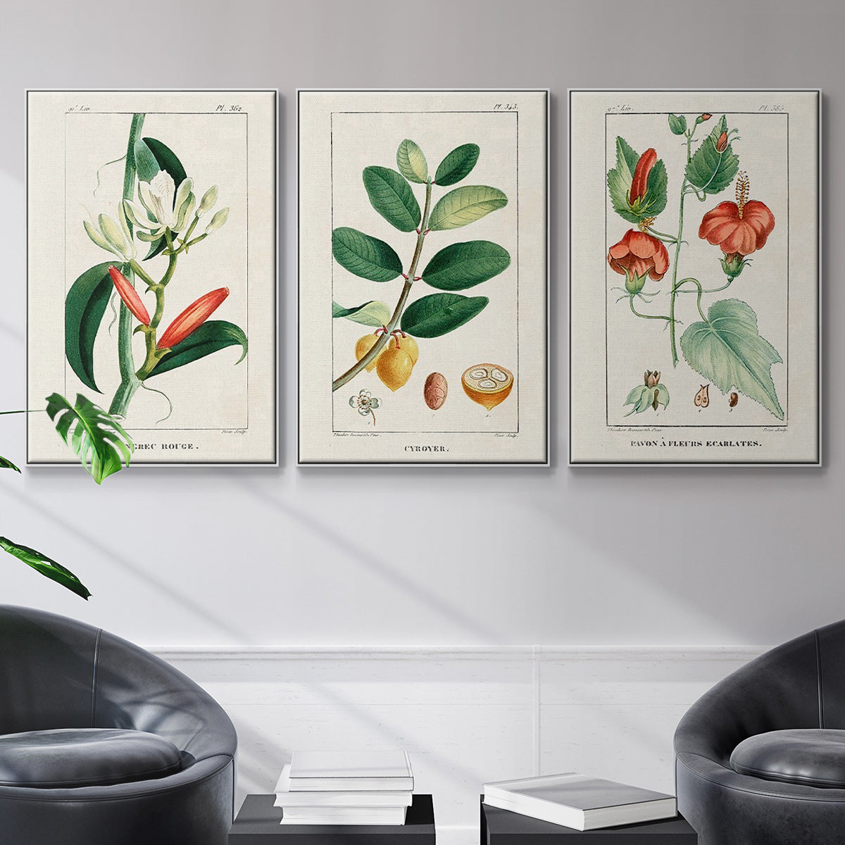 Turpin Tropical Botanicals IV - Framed Premium Gallery Wrapped Canvas L Frame 3 Piece Set - Ready to Hang