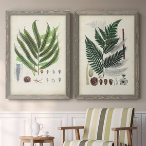Collected Ferns III - Premium Framed Canvas 2 Piece Set - Ready to Hang