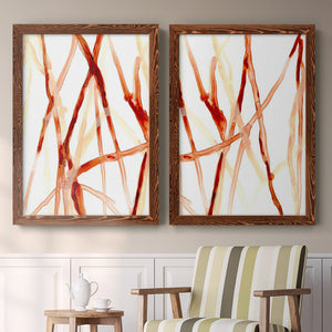 Runnel V - Barnwood Framed Canvas Set