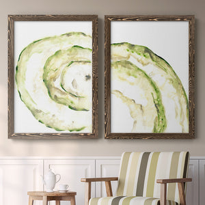 Lichen Halo V - Barnwood Framed Canvas Set
