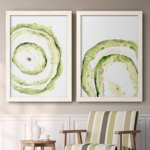 Lichen Halo III - Barnwood Framed Canvas Set