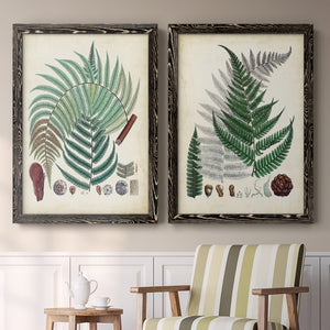 Collected Ferns I - Premium Framed Canvas 2 Piece Set - Ready to Hang