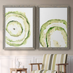 Lichen Halo III - Barnwood Framed Canvas Set
