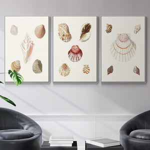 Pastel Knorr Shells IV - Framed Premium Gallery Wrapped Canvas L Frame 3 Piece Set - Ready to Hang