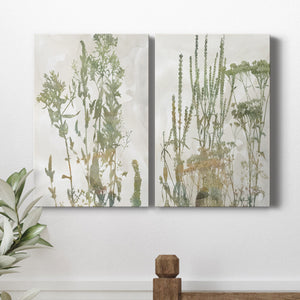Untamed Garden I Premium Gallery Wrapped Canvas - Ready to Hang