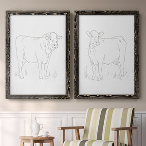 Limousin Cattle I - Barnwood Framed Canvas Set