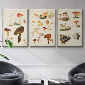 Mushroom Species VI - Framed Premium Gallery Wrapped Canvas L Frame 3 Piece Set - Ready to Hang