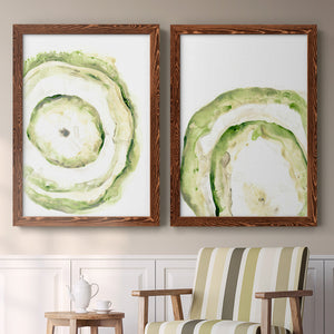Lichen Halo III - Barnwood Framed Canvas Set