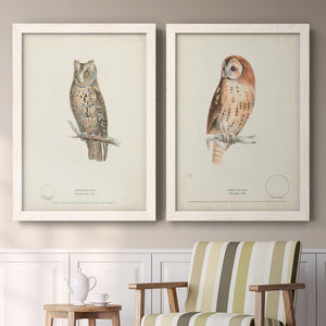 Scops-Eared Owl - Barnwood Framed Canvas Set