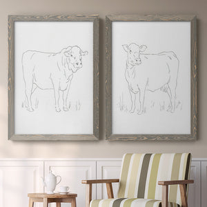 Limousin Cattle I - Barnwood Framed Canvas Set
