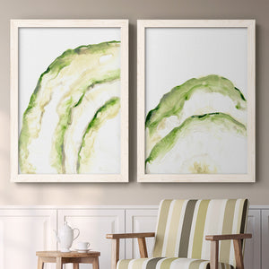 Lichen Halo I - Barnwood Framed Canvas Set
