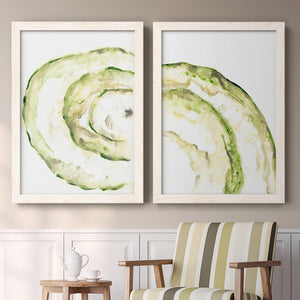 Lichen Halo V - Barnwood Framed Canvas Set