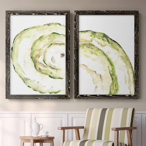 Lichen Halo V - Barnwood Framed Canvas Set