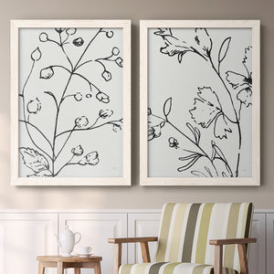 Botanical Sketch I   - Premium Framed Canvas 2 Piece Set - Ready to Hang